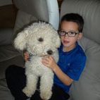 enfant accompagné d'un chien type caniche