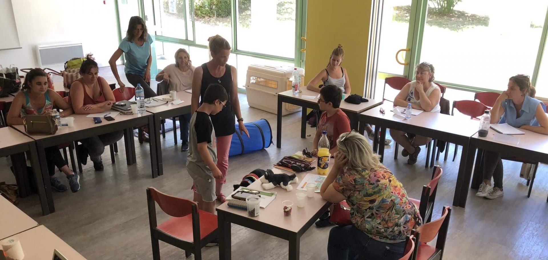 aurélie Frérou donne cours d'éducation canine chien au pied d'un enfant plusieurs femmes adultes présentes assises autour Slider-edukachien-aurelie-frerou-education-canine-et-comportementalisme-canin-a-domicile-formation-pro-cynophobie-scaled