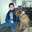 enfant avec chien type Boxer collier vert