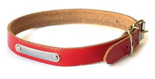 collier chiens cuir - acessoires edukachien, aurélie frérou, education canine, comportementalisme canin a domicile, 44.49.85.53;collier plat chien