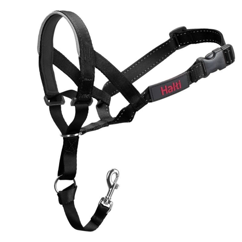 guide Halti pour éducation canine de la marche au pied edukachien, aurélie frérou, education canine, comportementalisme canin a domicile, 44.49.85.53;licol-halti