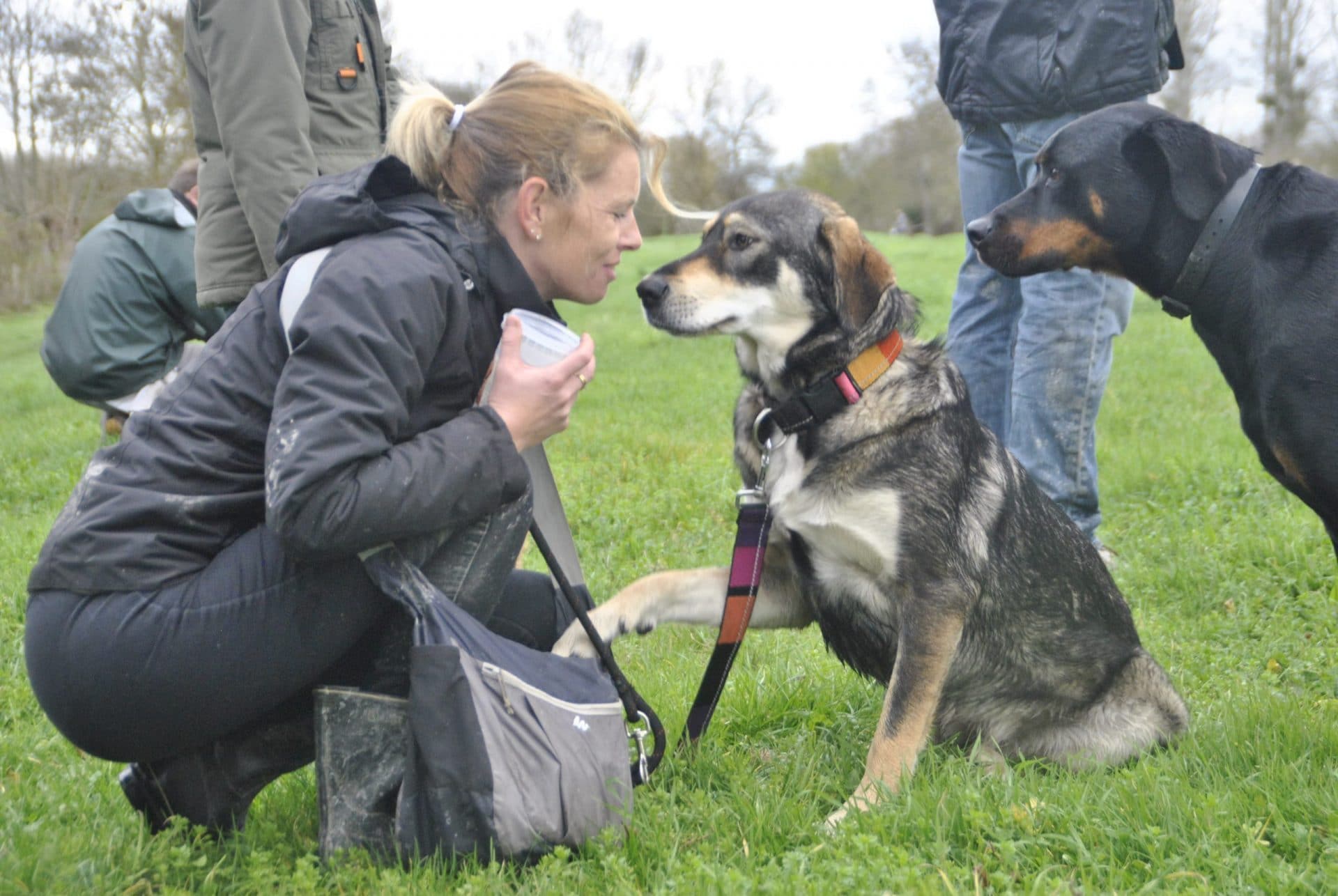 edukachien, aurelie frerou, education canine, comportementaliste canin 44.49.85.53, education canine