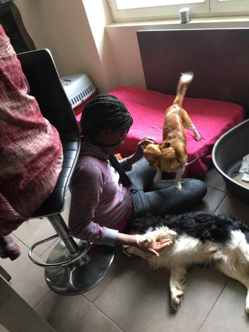 edukachien, aurélie frerou, education canine et comportementalisme canin a domicile, dvpt perso autour de l animal edukachien, aurélie frerou, education canine et comportementalisme canin a domicile, dvpt perso autour de l animal