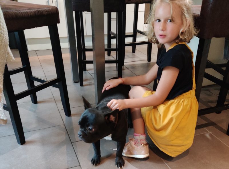 edukachien, aurélie frerou, education canine et comportementalisme canin a domicile, enfant et chien1 edukachien, aurélie frerou, education canine et comportementalisme canin a domicile, enfant et chien1