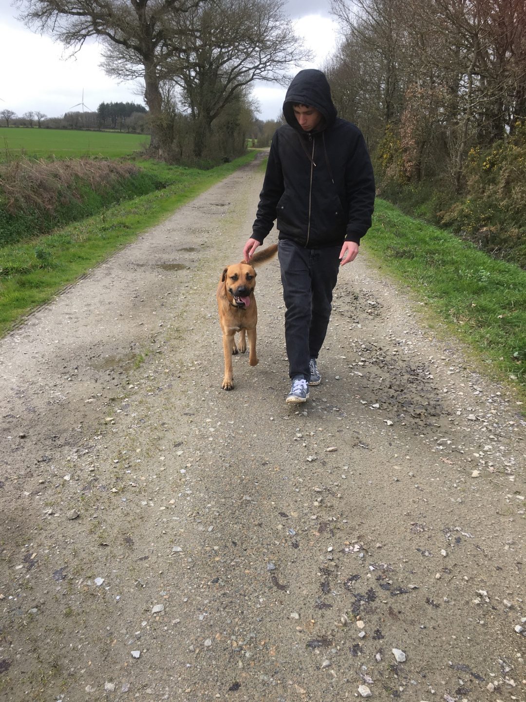 EdukaChien cours éducation canine balade chien sans laisse après rééducation individuelle à domicile