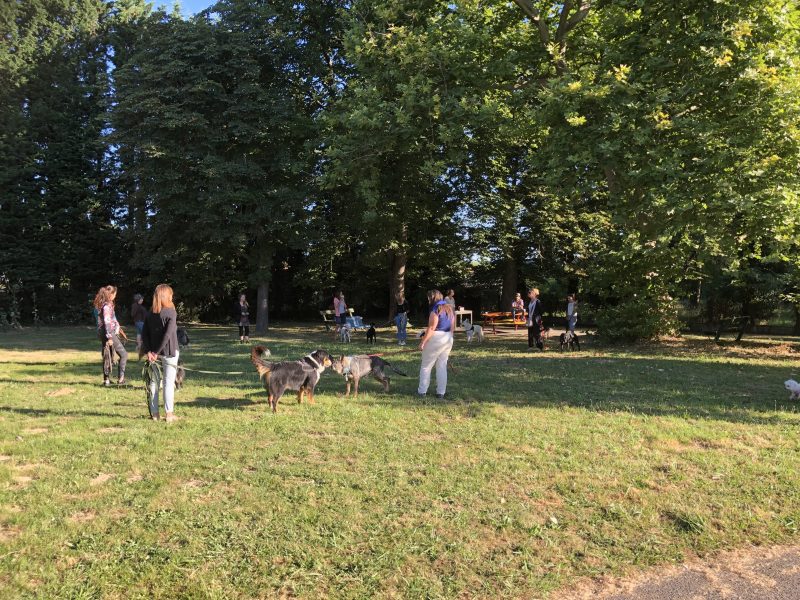edukachien, aurélie frerou, education canine et comportementalisme canin a domicile, formation pro 3
