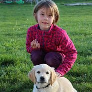 enfant et chiot type Golden retriever de face