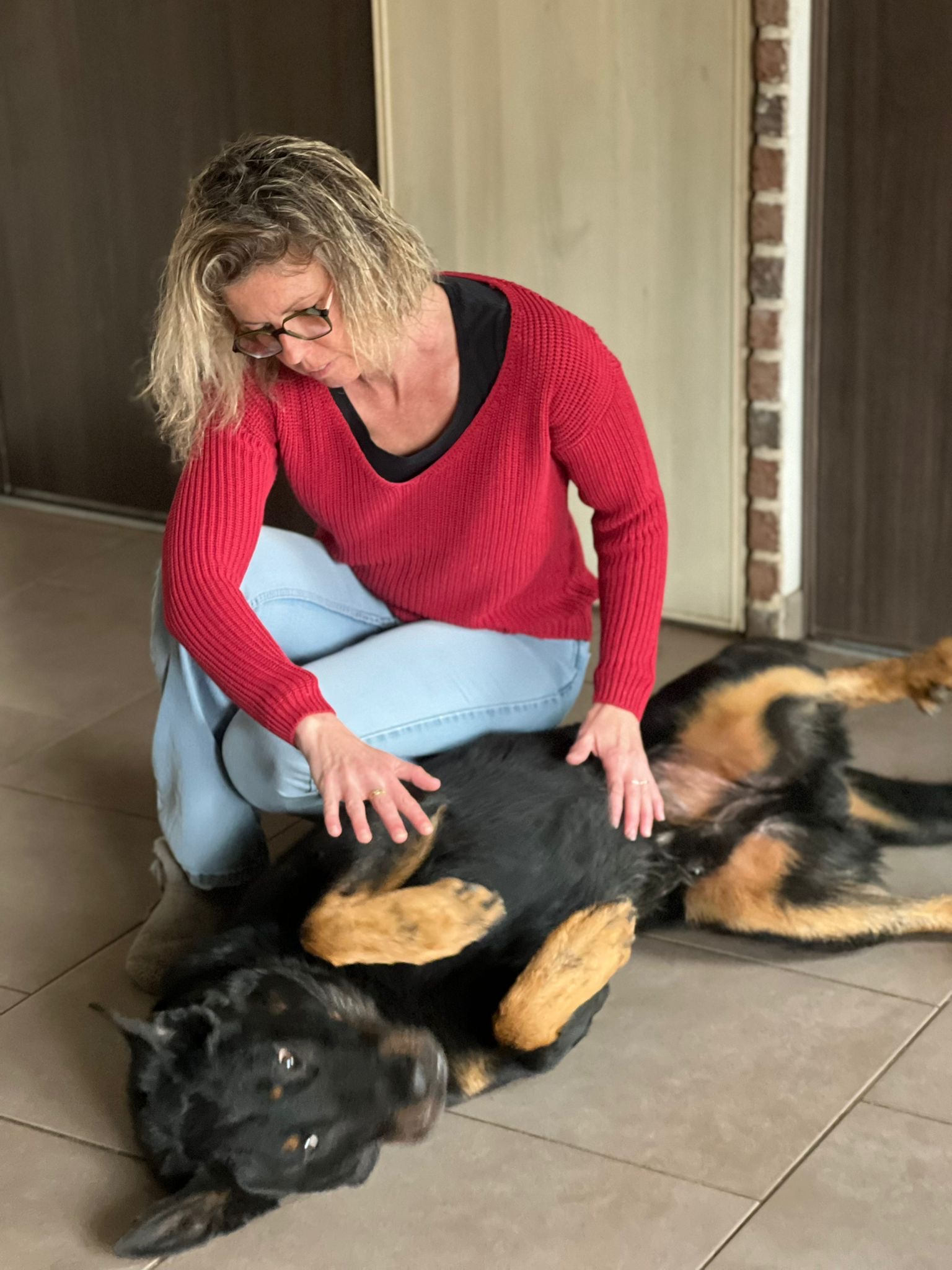 13160d5f-77f4-4fb8-8bfb-e54fe5bc7a86