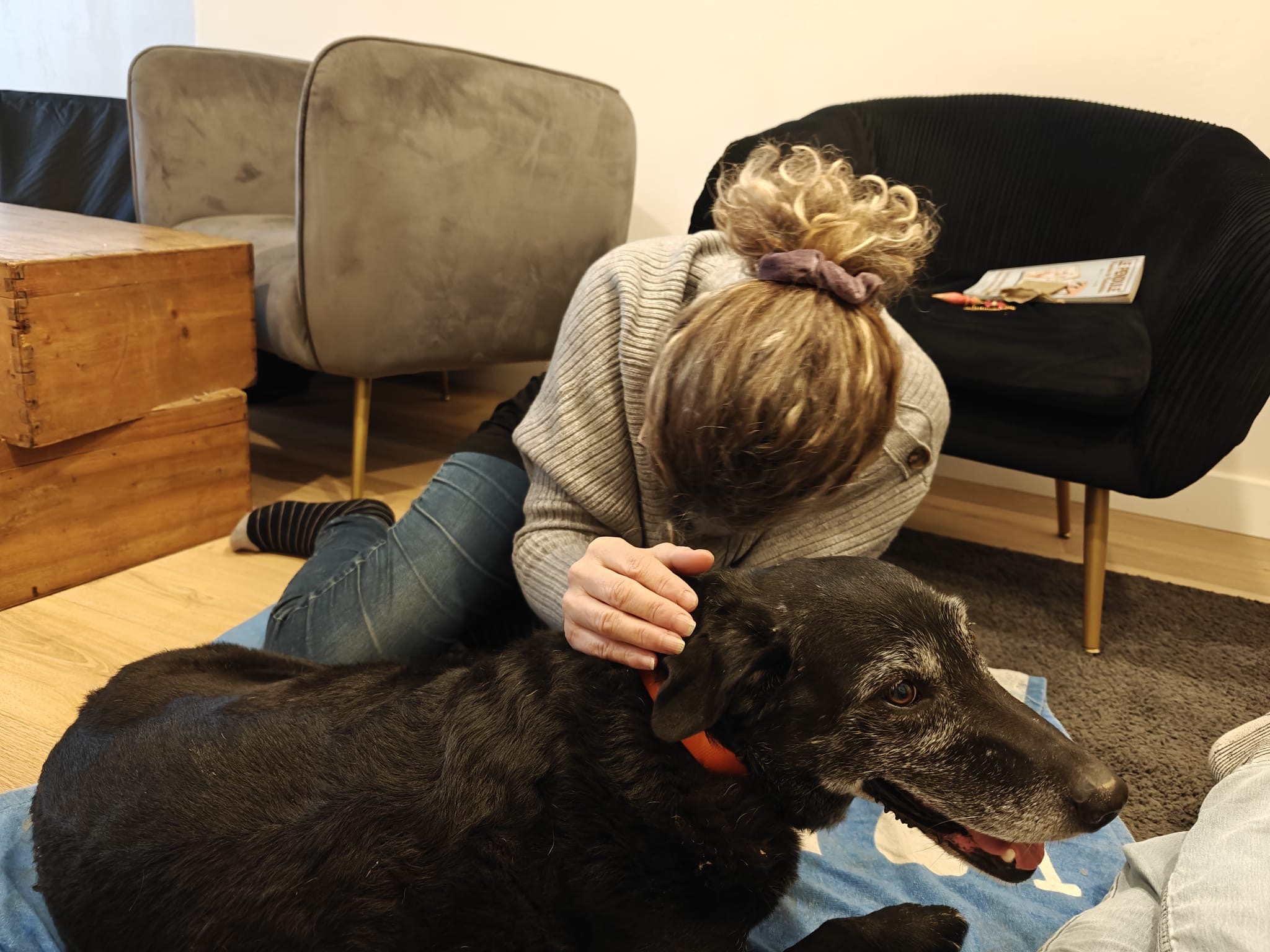 c26d4f41-e9a0-46d1-8c33-6c5bb043150f2