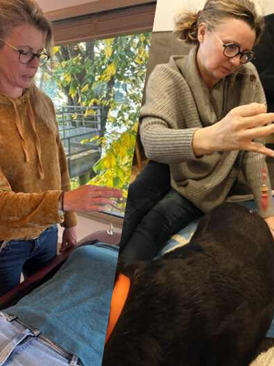 edukachien_formule_duo